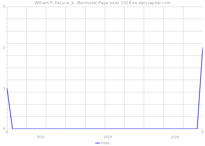 William P. DeLuca, Jr. (Bermuda) Page visits 2024 