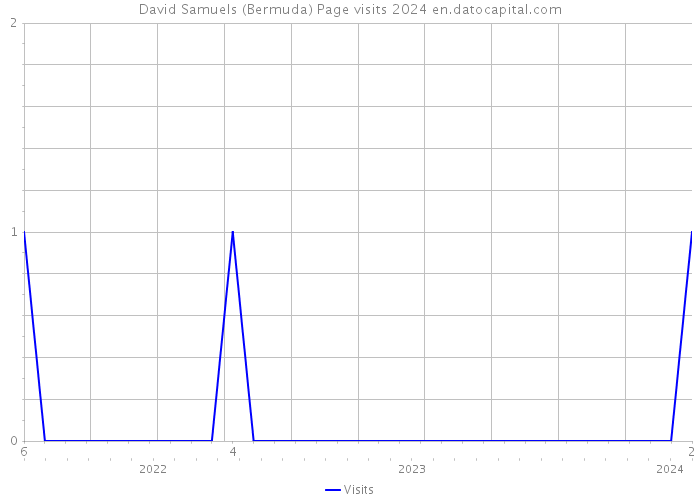 David Samuels (Bermuda) Page visits 2024 