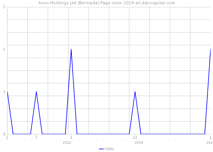 Avon Holdings Ltd (Bermuda) Page visits 2024 
