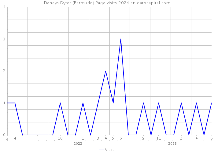 Deneys Dyter (Bermuda) Page visits 2024 