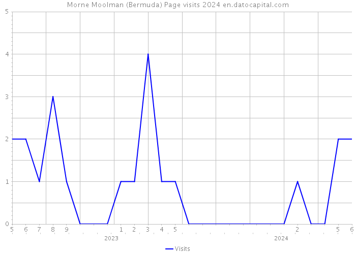 Morne Moolman (Bermuda) Page visits 2024 