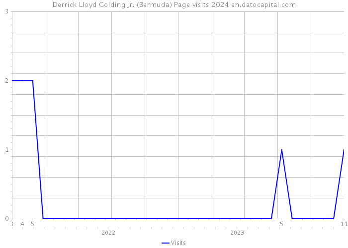 Derrick Lloyd Golding Jr. (Bermuda) Page visits 2024 